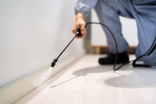Certified termite inspector examining foundation in Canton Valley