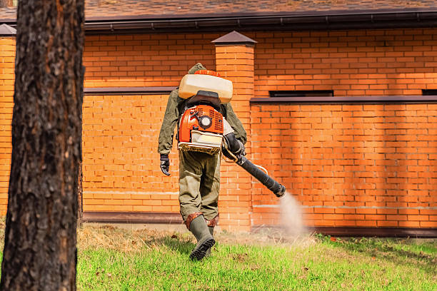 Bed Bug Clearance Verification and Documentation in Canton Valley